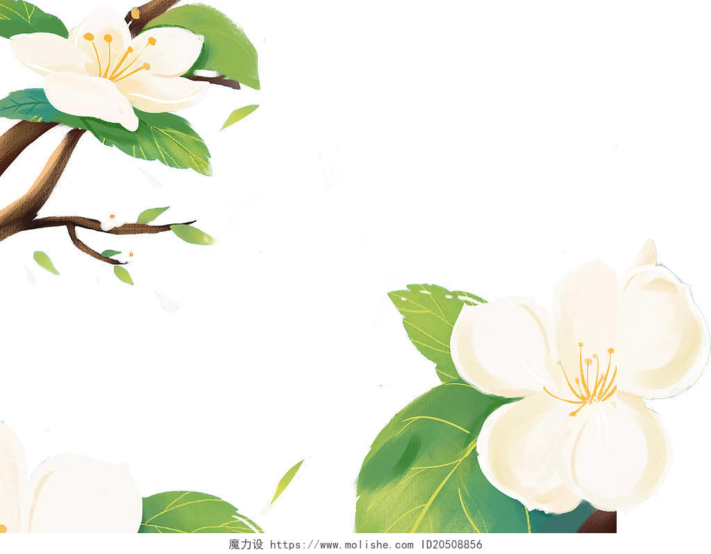 白色手绘卡通小清新梨花花枝元素PNG素材